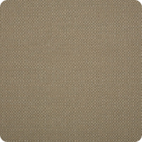 Action-Taupe